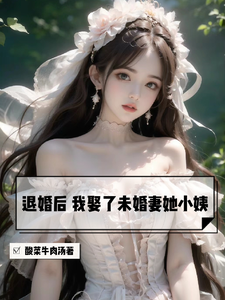 《退婚后我娶了未婚妻她小姨》(TXT校对版)作者:酸菜牛肉汤-盘小说 - TXT完本小说交流平台 | 知轩藏书